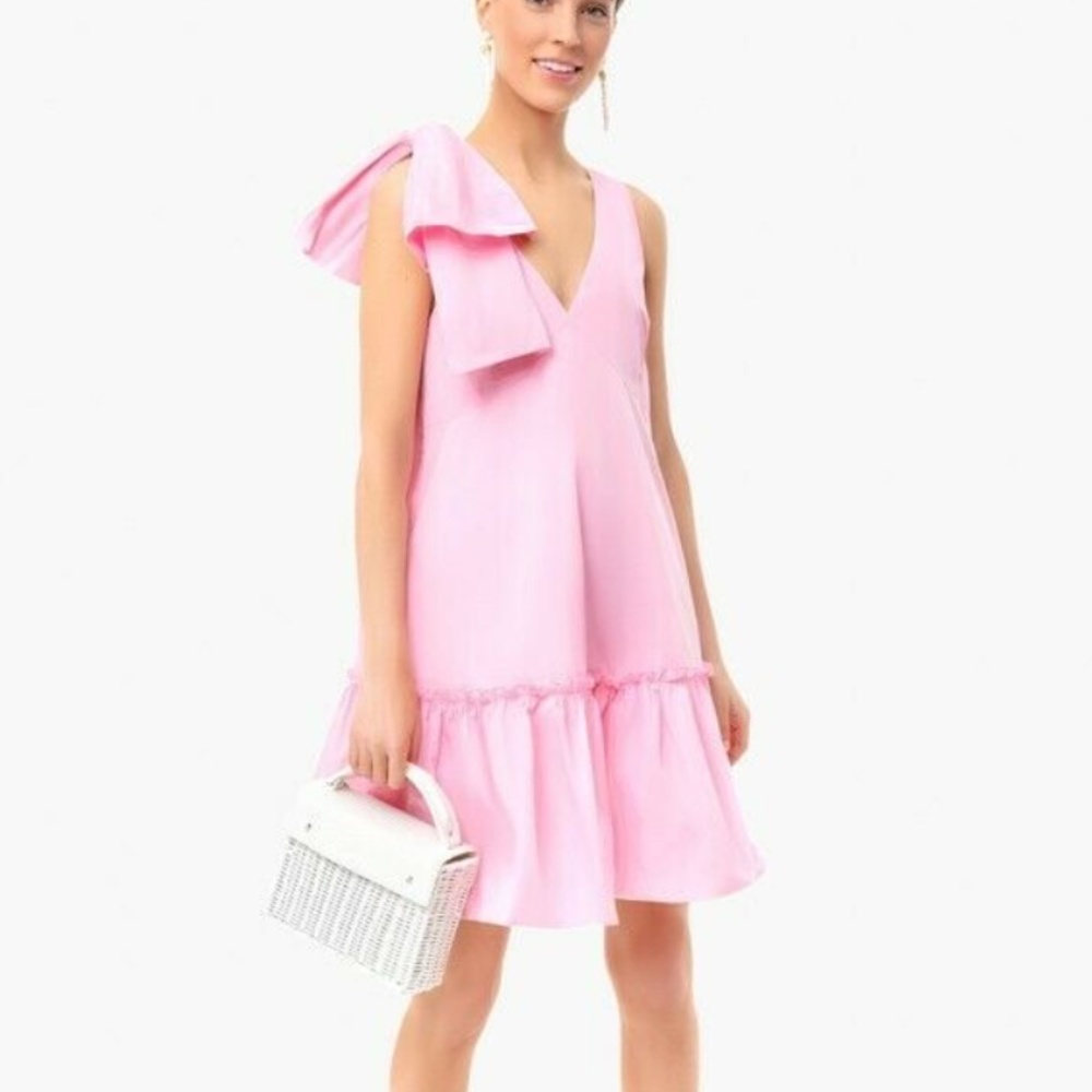 NWT Tuckernuck x Essential Antwerp Volleyball Mini Dress